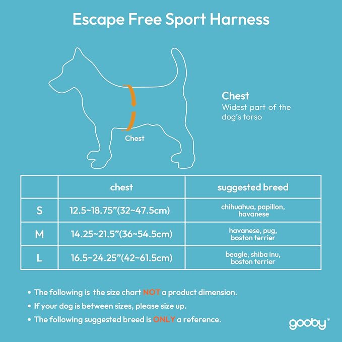Gooby Escape Free Sport Dog Harness, Choke-Free, Turquoise, Large | Patented escape-free frame; Reduces choking; 4-point adjustment; Soft neoprene padding; Durable webbed straps