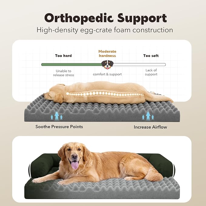 Orthopedic XL Dog Bed with Bolster for Extra Large Size Dogs | Pillow Support for Neck Relief, Egg Crate Foam, Skin-Friendly Surface, Waterproof Liner, Anti-Slip Bottom, 42 x 30 Inch