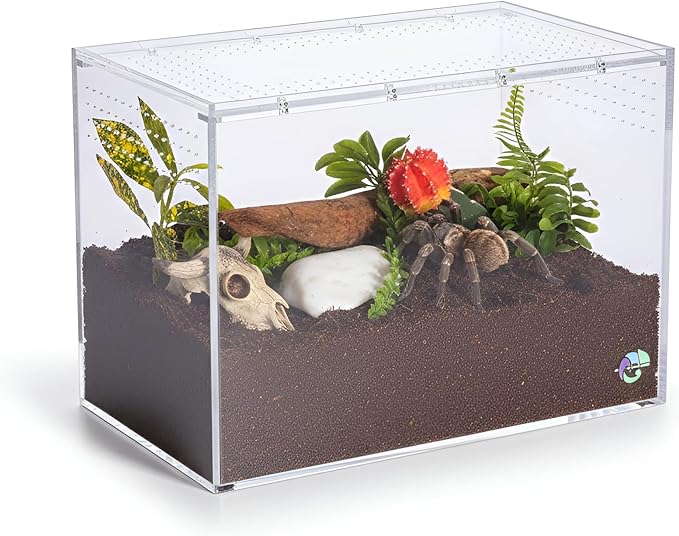 EctoTherm Terrestrial Terrarium - Tarantula Enclosure for Spider, Gecko, Frog, Snail & Small Reptiles - Acrylic Terrarium with Lid
