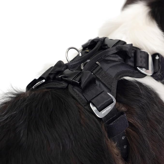 EzyDog Drive Dog Car Harness, Crash Tested and Certified - Medium | US-FMVSS 213 Certified Dog Seat Belt Harness, Adjustable, Padded Comfort Chest Plate, Dual Metal SR Buckles