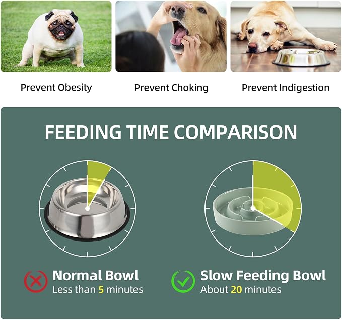 Havniva Elevated Slow Feeder Dog Bowls, Ceramic Dog Bowl Slow Feeder Set | 1.2 Cups Raised Slow Feeder Dog Bowl for Small Breed, 6.1” Dog Water Bowl with Wooden Stand, Puzzle Dog Food Bowl, Non-slip