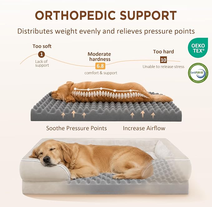 Comfort Expression Waterproof Orthopedic Dog Beds for Large Sized Dog | Supportive Egg Crate Foam Large Pet Bed with Removable Bolster, Dog Couch with Washable Cover & Non-Slip Bottom, 36x27 Inch