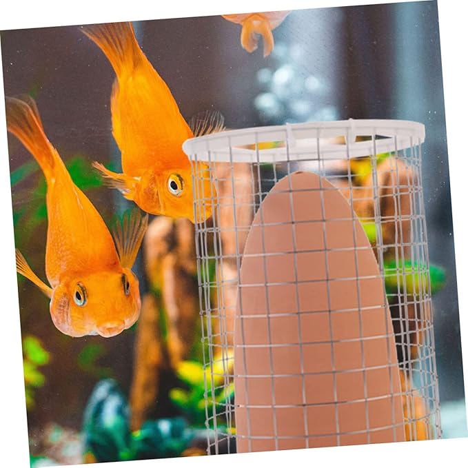 BESPORTBLE Fish Tank Aquarium Accessories Breeding Cone Spawning Barrels Decor Fish Eggs Capture