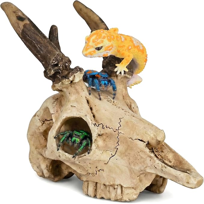 Mini Reptile Hide Cave, Small Terrarium Shelter for Spider, Tarantula, Gecko Tank Accessories, Natural Climbing Decor for Terrarium Habitat, 4 Inch(Elk Skull)