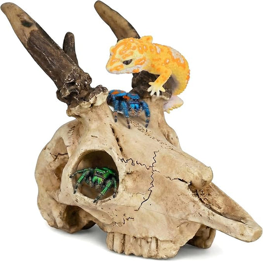 Mini Reptile Hide Cave, Small Terrarium Shelter for Spider, Tarantula, Gecko Tank Accessories, Natural Climbing Decor for Terrarium Habitat, 4 Inch(Elk Skull)