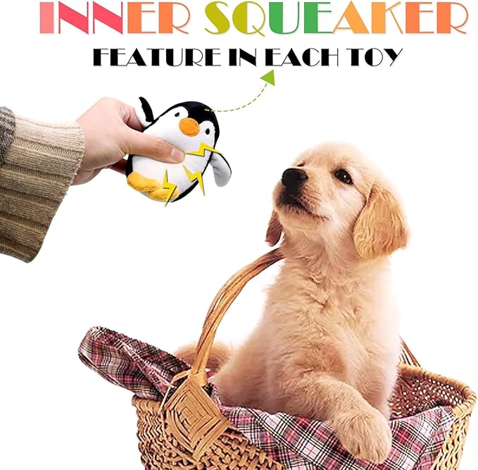 SHARLOVY Jouets couineurs pour petits chiens, jouets en peluche pour chiots, jouets à mâcher mignons pour la dentition des chiots, pour chiens de petite à moyenne taille, lot de 12 jouets doux en peluche pour animaux de compagnie dans une boîte cadeau