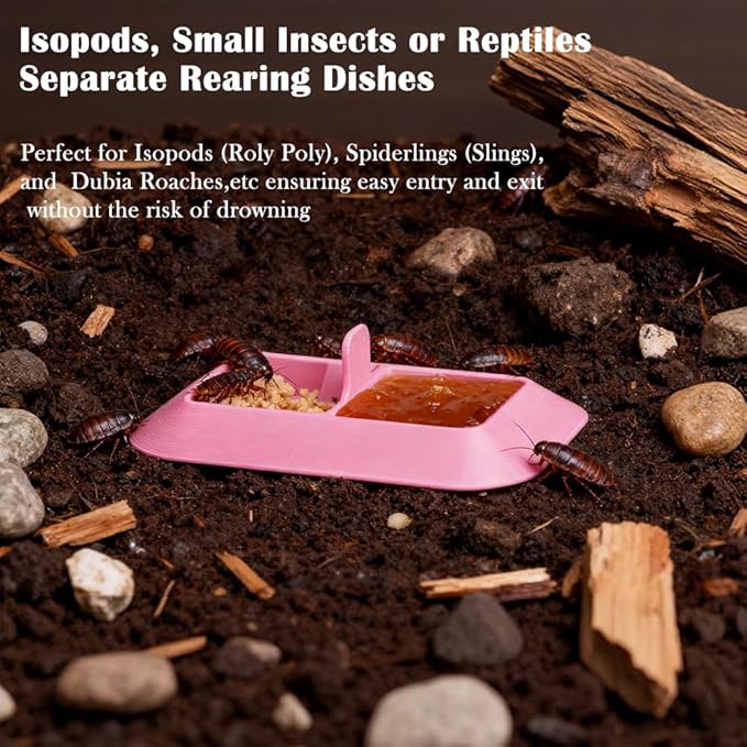 4PCS Dual Isopod Feeding Dish – Tiny Water & Food/Dry & Wet Feeder Bowl for Spiderlings, Juvenile Tarantula, Small Reptiles & Dubia Roaches– Vivarium Accessor