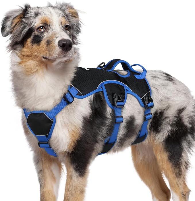 rabbitgoo Escape Proof Dog Harness for Medium, No Pull with Lift Handle | No Escape, Full Soft Padded, Reflective Adjustable Vest, Leash Clip for Walking Hiking Training, Blue & Black, Medium