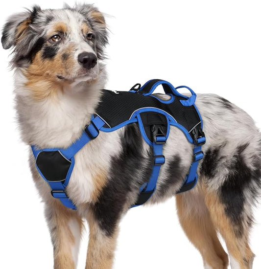 rabbitgoo Escape Proof Dog Harness for Medium, No Pull with Lift Handle | No Escape, Full Soft Padded, Reflective Adjustable Vest, Leash Clip for Walking Hiking Training, Blue & Black, Medium