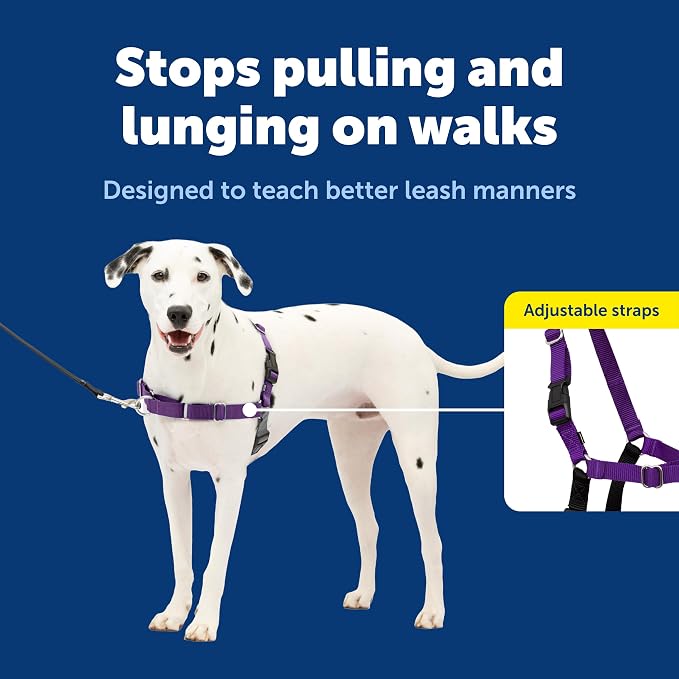 PetSafe Easy Walk Comfort No Pull Dog Harness, Blue, Medium | Stops Pulling on First Use with Front Martingale Loop, Full-Body Padding, 5-Point Adjustable Fit