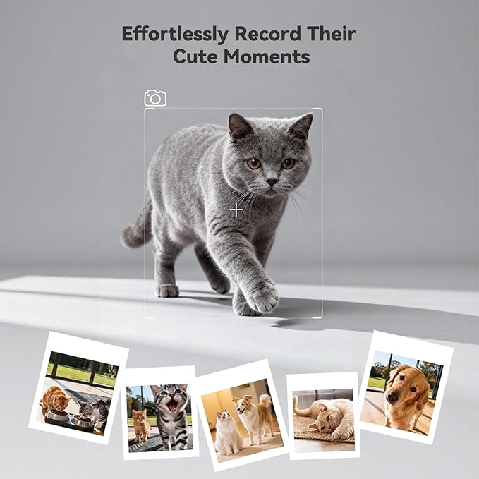 WOPET 6L Automatic Cat Feeder with Camera, 1080P HD, WiFi App Control, 4GB SD Card, Night Vision, 10 Meals/Day, Dual Power, Stainless Steel Bowl for Cats & Small Dogs
