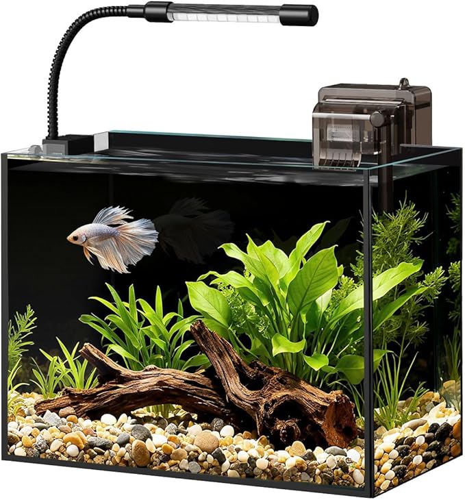 Glass Fish Tank Kit, 2.5 Gallon Betta Fish Tank Aquarium Starter Kit with Filter, Lights, Lid, for Betta, Goldfish, Small Fish or shrimg, Black