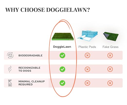 DoggieLawn Real Grass Dog Pee Pads with Tray - XLarge Dog Potty Pad 48x24 | No-cleaning, odor-reducing puppy potty training pad for housebreaking, indoor or outdoor use, real grass, replace when needed