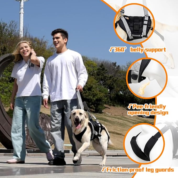 Dog Lift Harness for Large Dogs,Full Body Dog Sling Carrier, Black, Large | Help Support Big, Elderly Pet with Arthritis, Front/Rear Legs Assistance with Handle, for Lifting Injured Dogs Up Stairs