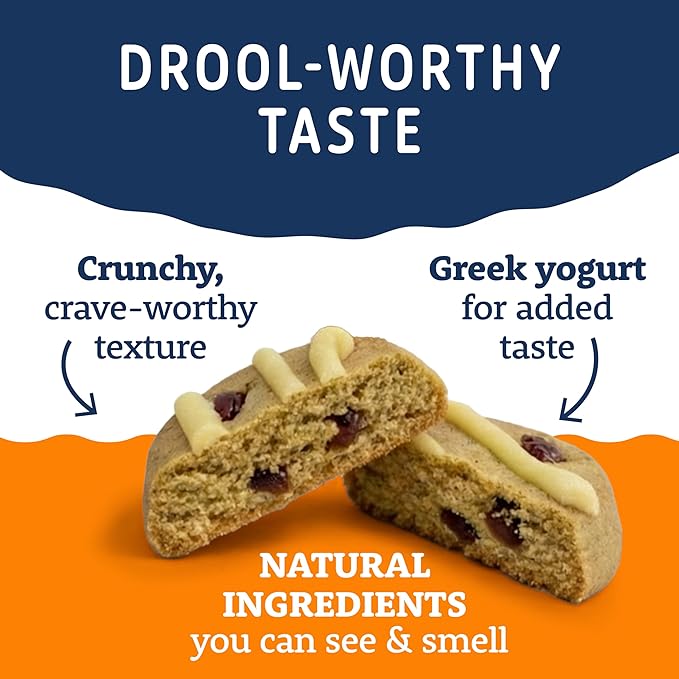 Natural Balance Yo-Gut Bites Crunchy Dog Treats with Real Pumpkin & Cranberries, Greek Yogurt Drizzle, Probiotics for Digestive Support, 10oz Bag