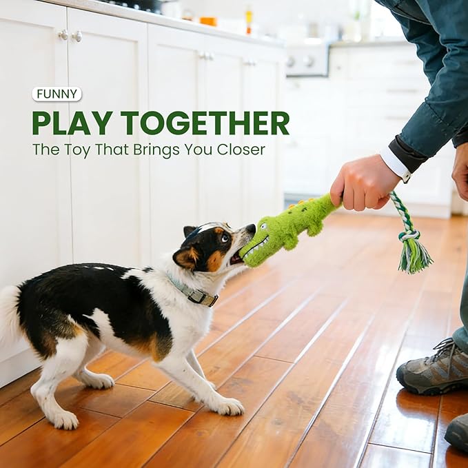 Squeaky Plush Crocodile Dog Toy,with a Rope Tail,Crinkle Stuffed Dog Toy Keep Them Busy Tug of War Training Play, Dog Chew Toy for Small Medium Dogs (Green)