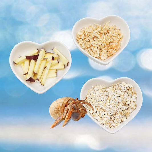 3 Pcs Hermit Crab Ceramic Dish Kit, Mini Food & Water Bowl, Suitable for Hermit Crab, Tarantula, Snail