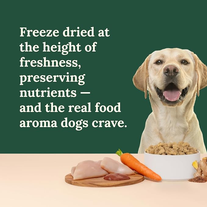 360 Pet Nutrition Freeze-Dried Raw Dog Food – Chicken Recipe with Liver & Organs, High Protein, Omega-3s, Fruits, Veggies & Superfoods, Grain-Free, No Fillers 2 x 48 oz Made in USA