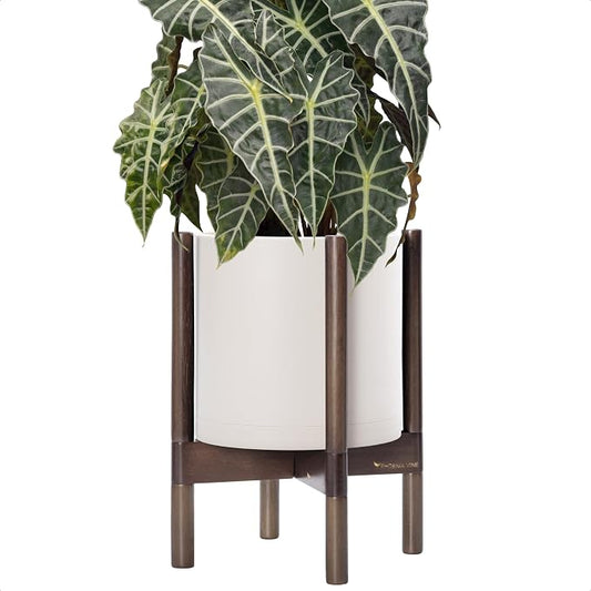 D'vine Dev Plastic Pot with Walnut Wood Stand, Oatmeal, 10 in, 55-C-L-4 | Mid-Century Inspired Design, Elevated Plant Display, Clean Lines, Sturdy Support, Modern Space-Saving Style