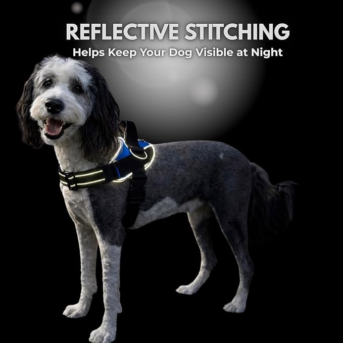 ShawnCo Essential Dog Harness, No-Pull Pet Vest (Moonglow,L) | 3 Leash Clips, Easy On, No-Choke, Reflective, Adjustable Fit, Padded Comfort, Control Handle, For Small, Medium & Large Dogs