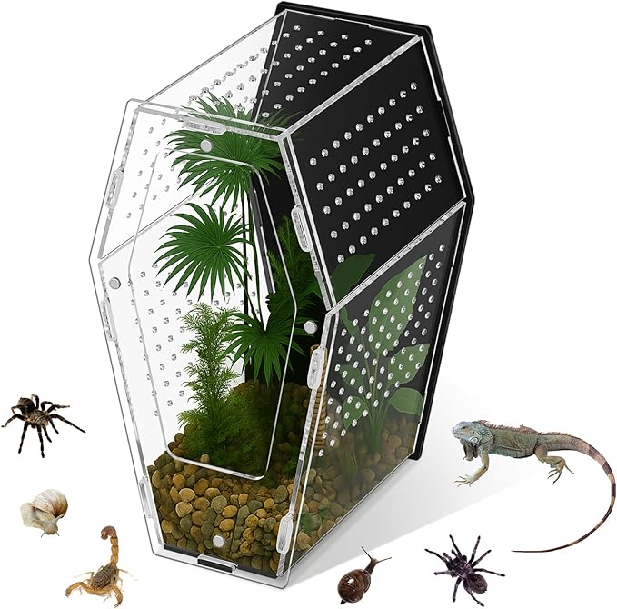 Yalikop Acrylic Jumping Spider Habitat Versatile Reptile Enclosure Transparent Insect Terrarium Habitat for Spiders, Tarantula, Gecko, Chameleon, Beetle, Mantis, and Hermit Crab(Black and Clear,L)