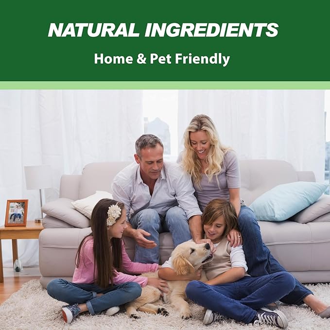 Natural Mouse Repellent. Peppermint Oil Rodent Deterrent Balls for Mice, Rats, Squirrels & Spiders, Natural Plant-Based (24)