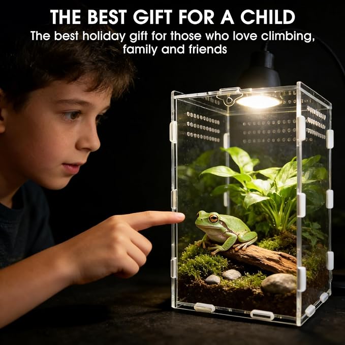 Jumping Spider Enclosure, Acrylic Terrarium with Magnetic Door & All-Side Ventilation, Easy-Clean Habitat for Spider, Tarantula, Mantis, Snail(Tweezer and Bowl Included)