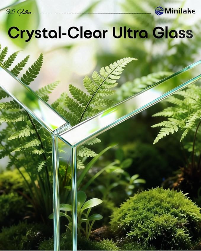 Glass Fish Tank, 3.5 Gallon Easy to Maintain Small Aquarium for Betta,Snails, Shrimp and Aquatic Planting.