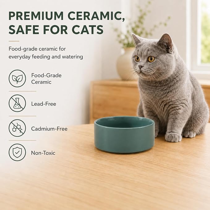 Havniva Cat Bowls Set of Two, 5.1” Ceramic Cat Food and Water Bowls | Cat Food Bowls Whisker Friendly, Non-Slip Base, Food-Grade Ceramic, Wide Opening, Dishwasher Safe, Cat Bowls for Indoor Cats