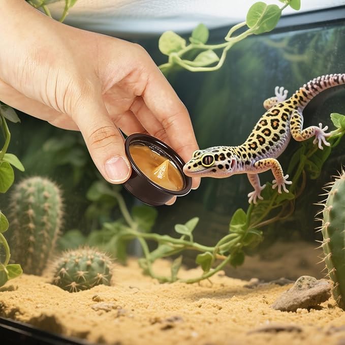 Plastic Gecko Feeding Cups, 0.5 oz Small Terrarium Bowls Reptiles Food Water Feeder Ledge Cups for Lizars,Bearded Dragon,Snake,Frogs (100Pack Black)