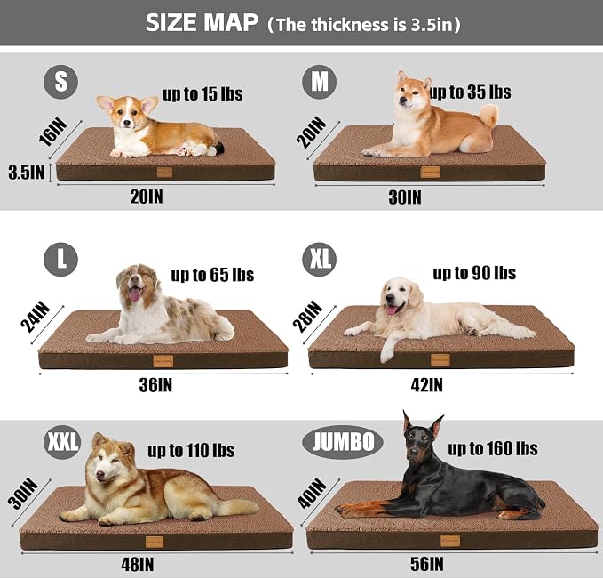 Patas Lague Orthopedic Large Dog Bed Washable Pet Sofa Mat 36''X24'' Brown | Egg-Crate Foam Dog Couch For Large Sized Dogs, Waterproof Removable Cover, Soft Pet Crate Bed With Nonskid Bottom