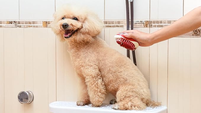 CHI for Dogs Soap Dispensing Palm Brush, Handheld Dog Bathing Scrubber with Built-In Shampoo Dispenser, Soft Rubber Bristles for Massaging and Deep Cleaning All Dog Coat Types, Red | Built-in shampoo dispenser, soft rubber bristles, massages while deep...