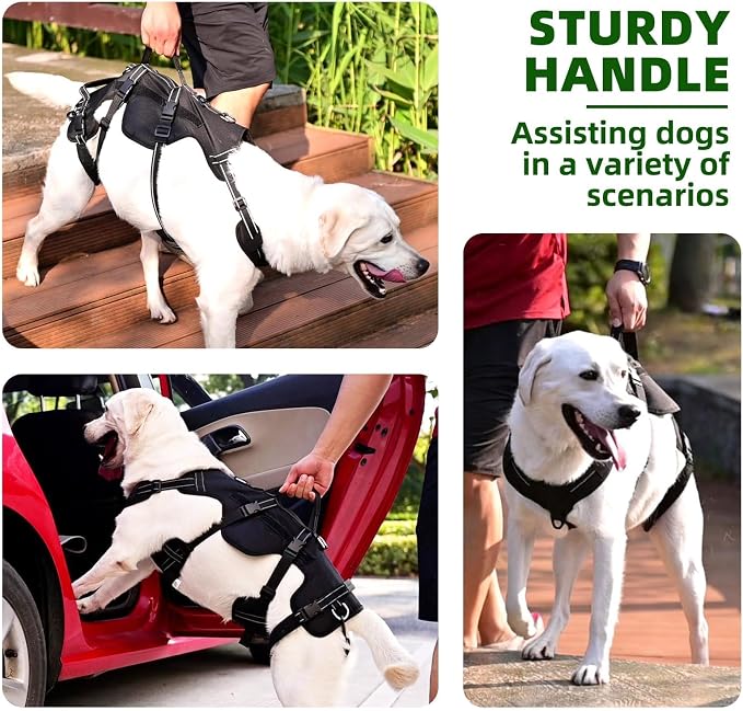 PUPTECK Dog Lift Harness for Medium Large Sized Dog, Rehabilitation Sling for Hind Leg Support, Multifunctional Mobility Assistance Harness for Old, Disabled, Joint Injuries, Paralysis Dogs, Black M
