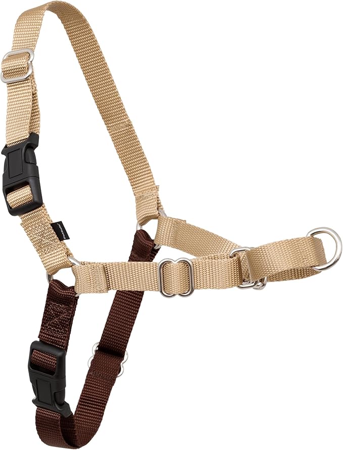 PetSafe Easy Walk Harness, No Pull Dog Harness, Fawn, Medium | Patented Martingale Loop Gives Gradual Shoulder Pressure to Stop Pulling, Front-Chest Leash Clip Prevents Gagging
