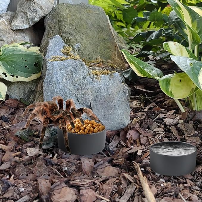 10 Pcs Small Reptile Water Bowl Food Dish Feeding Bowl for Spider Gecko Lizard Horned Frog Turtle Snake (Black)