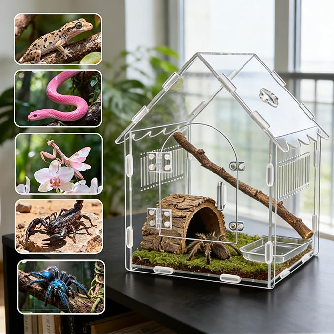 Acrylic Jumping Spider Enclosure, 8"x8"x12" Portable Tarantula Habitat with Ventilation, Clear Small Reptile Terrarium Tank for Pet Insects