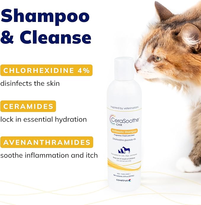 CeraSoothe CHX Antiseptic Shampoo with Chlorhexidine, Hydrating & Barrier-Supporting Cleanser for Dogs, Cats & Horses, 16 oz