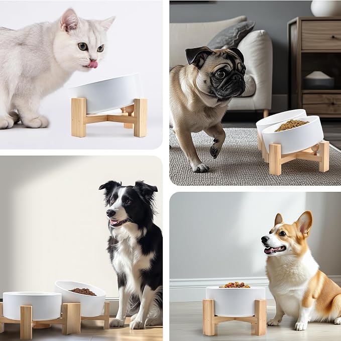 SPUNKYJUNKY 15° Slanted Ceramic Dog and Cat Bowl with Wooden Stand, Tilted Bulldog Food and Water Bowl No Slip Non-Spill for Cats Medium Dogs Big Face Pets 28.7 OZ (3.6 Cups, White × 2)