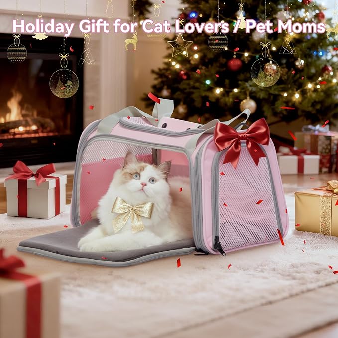 Petsfit Cat Carrier Airline Approved, 17.5×10.5×10.5 in, Pink | Escape-Proof Design with Locking Zippers & Safety Leash, Easy-Access 3-Way Entry, Washable Mat up to 12 lb