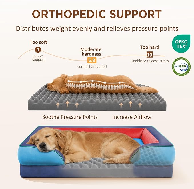 Comfort Expression Orthopedic Dog Bed for Extra Large Dogs with Bolster | Waterproof Dog Couch Bed with Washable Cover & Non-Slip Bottom, Supportive Egg Crate Foam XL Pet Bed, 45x35 Inch