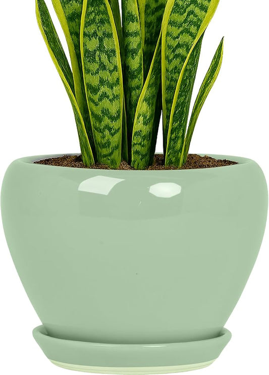 Deep Dream 8 Inch Plant Pots- Ceramic Pots for Plants with Drainage Hole and Saucer, Large Planter Pot for Indoor Plants Outdoor Decor, Mint Green