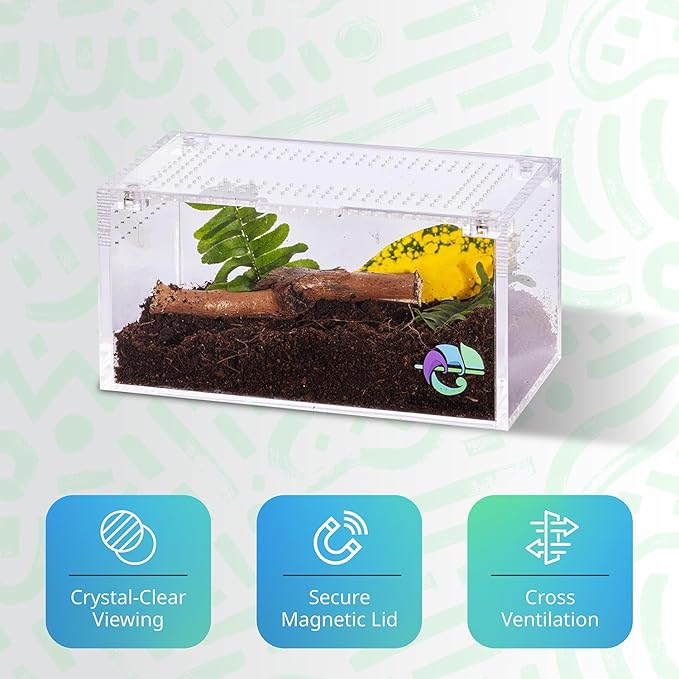 EctoTherm Acrylic Tarantula Enclosure - Versatile Terrarium for Terrestrial Tarantula, Scorpion, Isopod, Jumping Spider, Millipede, Snail, Small Reptile & Insect Habitat Kit