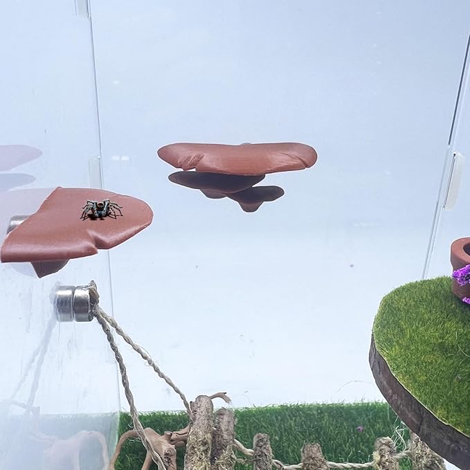 Jumping Spider Mushroom Shelf, Magnetically Concealed Jumping Spider Habitat,Serves As Enclosure Decorate Accessories for Spider Climbing Feeding and Platforms (Brown)