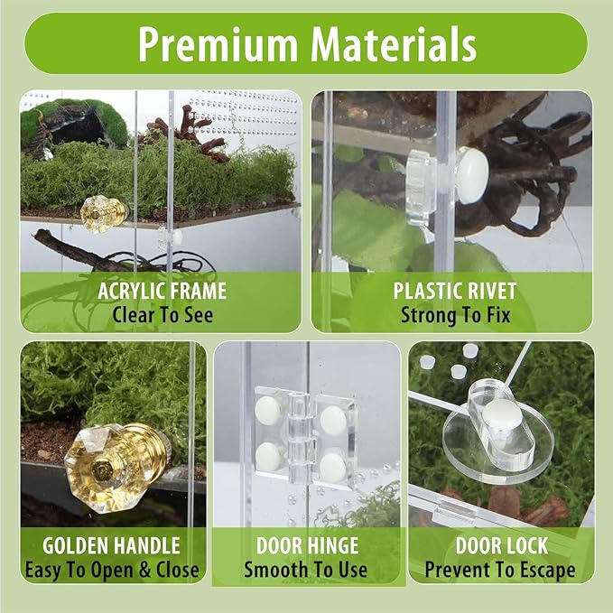 Acrylic Jumping Spider Enclosure with Removable Divider – 12"*8"*8" Large Reptile Terrarium for Praying Mantis, Arboreal Tarantula, Snails, Lizard, Gecko, Secure Habitat with Front Door & Top Lid