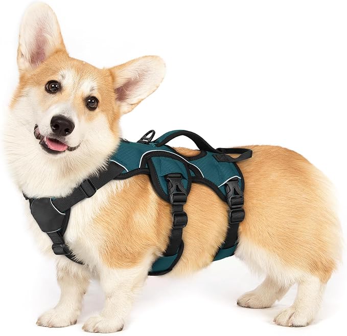 rabbitgoo Escape Proof Dog Harness for Small, No Pull with Lift Handle | No Escape, Full Soft Padded, Reflective Adjustable Vest, Leash Clip for Walking Hiking Training, Dark Green, Small