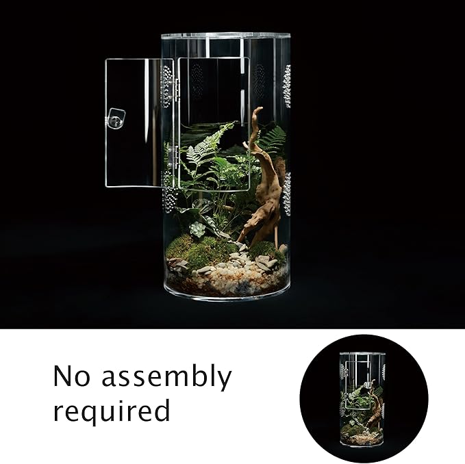 Acrylic Terrarium for Reptiles & Spiders – Small/Medium/Large Leak-Proof Enclosure (Horizontal/Vertical) | Ideal for Tarantulas, Jumping Spiders, Frogs & Geckos(Large, Round)