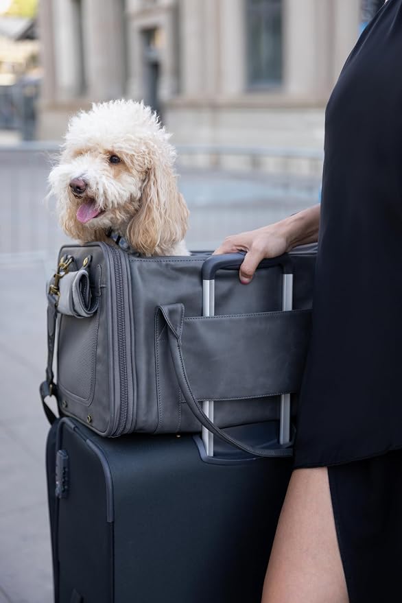 Noah & Paw Cat Carrier Soft Dog Carrier for Small Dogs, TSA Airline Approved 18x11x11in Cat Crate, Pet Travel Crate, Small Pet Kennel, Mattress Included, Charcoal Faux Leather