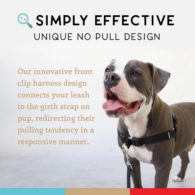 No Pull Dog Harness | Comfortable Dog Training Harnesses | Effective No Pull Harness Design | Ideal Dog Harness for Small Dog and Puppy | 4-Point Adjustable (S - 18~24 inch Girth, Black)