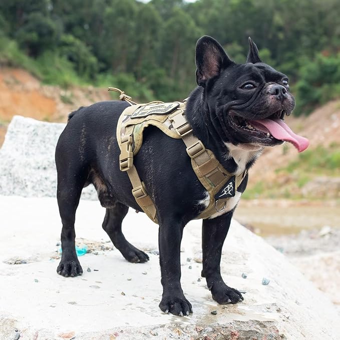 OneTigris Tactical Dog Harness with Handle No-Pull Adjustable for Small Dog | Military 1000D Pullable Nylon, Service Dog Vest with Hook & Loop Panels, Easy On & Off for Walking Hiking Training Camo S