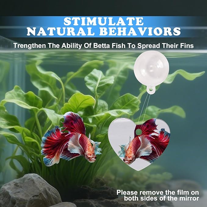 Betta Fish Toys, 2 PCS Heart Fish Exercise Ring and Nitrifying Balls Set, Heart Betta Mirror Toy Set, Feeding Ring with Suction Cup, Fishing Tank Accessories for Gifts (Pink)